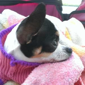 Meet your Posher, Mindy